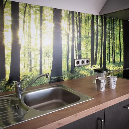 Haus Tanja Apartamento Freudenstadt